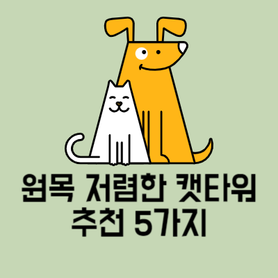 원목 저렴한 캣타워 추천 5가지
