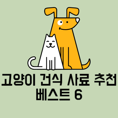 고양이 건식 사료 추천 베스트 6