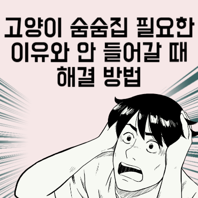 고양이 숨숨집 필요한 이유와 숨숨집 안 들어갈 때 해결 방법