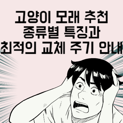 고양이 모래 추천 종류별 특징과 최적의 교체 주기 안내 2024