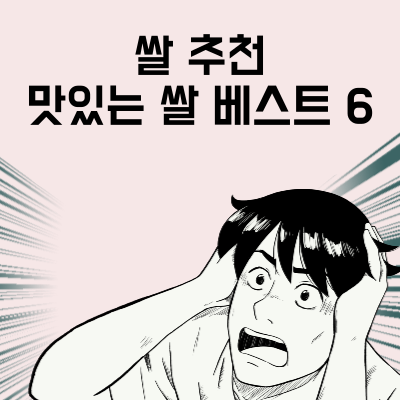 쌀 추천 맛있는 쌀 베스트 6