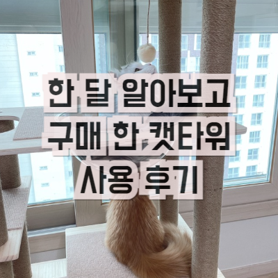 캣타워 구매 후기