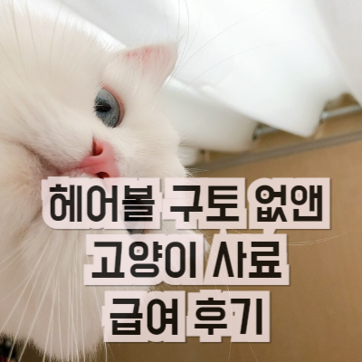 헤어볼 구토 없앤 고양이 사료 급여 후기