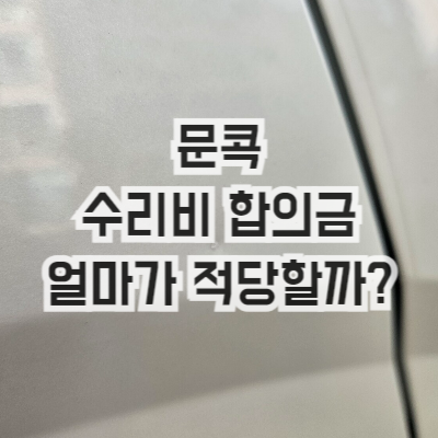 문콕 수리비 합의금