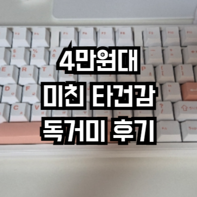 독거미 키보드 F87 PRO