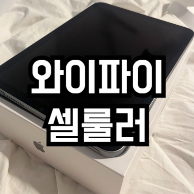 아이패드 와이파이 셀룰러