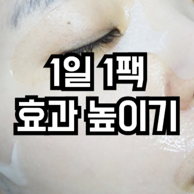 1일 1팩