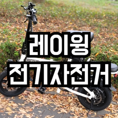 레이윙 디스커버리 전기자전거