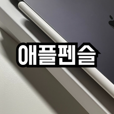 애플펜슬 프로 vs 2세대 차이