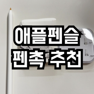 애플펜슬 펜촉