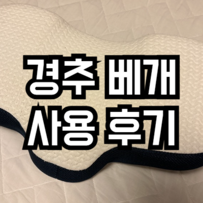 메모리폼 경추 베개 사용 후기